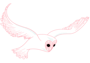 A simple pink line art illustration of an owl in flight, with detailed wings and a large, prominent eye. The owl, rendered in a surrealist style, is depicted against a transparent background.
