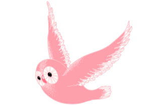 Illustration of a whimsical pink owl in flight with detailed feathers and large, expressive eyes against a dark background.